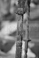 heilanstalt milbitz_090
